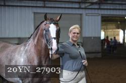 20YN_27903 thumbnail