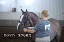 20YN_27905 thumbnail