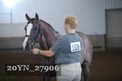 20YN_27906 thumbnail