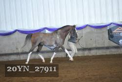 20YN_27911 thumbnail