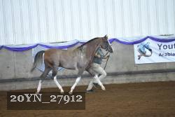 20YN_27912 thumbnail