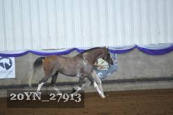 20YN_27913 thumbnail