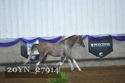 20YN_27914 thumbnail