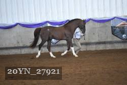 20YN_27921 thumbnail