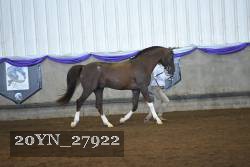 20YN_27922 thumbnail