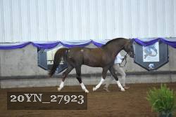 20YN_27923 thumbnail