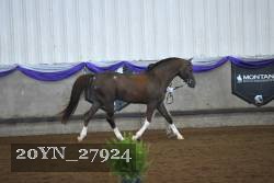 20YN_27924 thumbnail