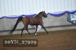 20YN_27929 thumbnail