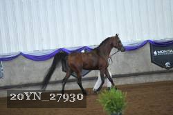 20YN_27930 thumbnail