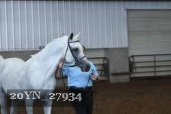20YN_27934 thumbnail