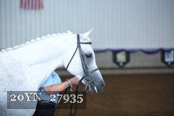 20YN_27935 thumbnail