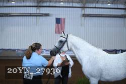 20YN_27936 thumbnail