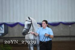 20YN_27939 thumbnail