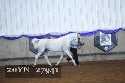 20YN_27941 thumbnail