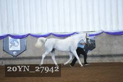 20YN_27942 thumbnail