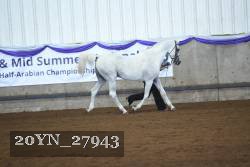 20YN_27943 thumbnail