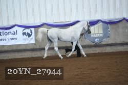 20YN_27944 thumbnail