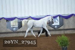 20YN_27945 thumbnail