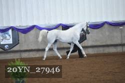 20YN_27946 thumbnail