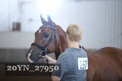 20YN_27950 thumbnail