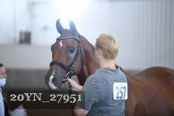 20YN_27951 thumbnail