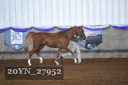 20YN_27952 thumbnail