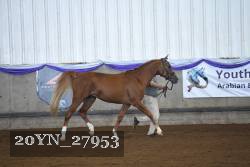 20YN_27953 thumbnail