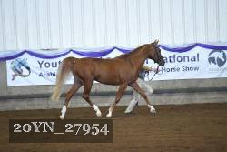 20YN_27954 thumbnail