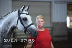 20YN_27959 thumbnail