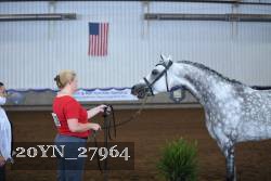 20YN_27964 thumbnail