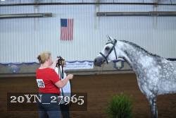 20YN_27965 thumbnail