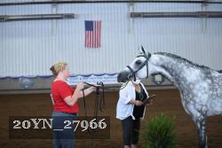 20YN_27966 thumbnail
