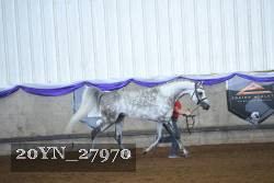 20YN_27970 thumbnail