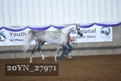 20YN_27971 thumbnail