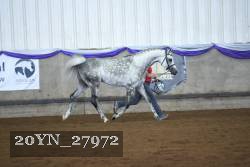 20YN_27972 thumbnail