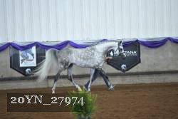 20YN_27974 thumbnail