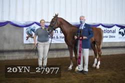 20YN_27977 thumbnail