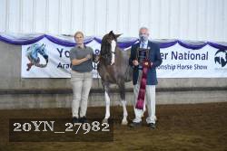 20YN_27982 thumbnail