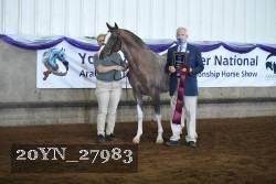 20YN_27983 thumbnail