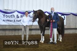 20YN_27988 thumbnail