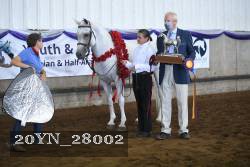 20YN_28002 thumbnail