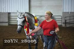 20YN_28005 thumbnail