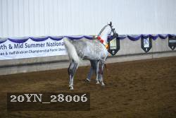20YN_28006 thumbnail