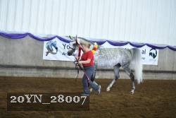 20YN_28007 thumbnail