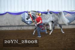 20YN_28008 thumbnail