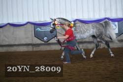 20YN_28009 thumbnail