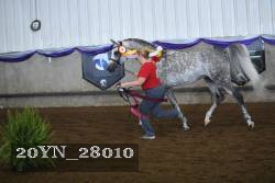 20YN_28010 thumbnail