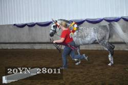 20YN_28011 thumbnail