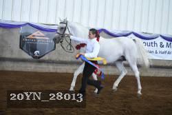 20YN_28013 thumbnail