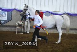 20YN_28014 thumbnail